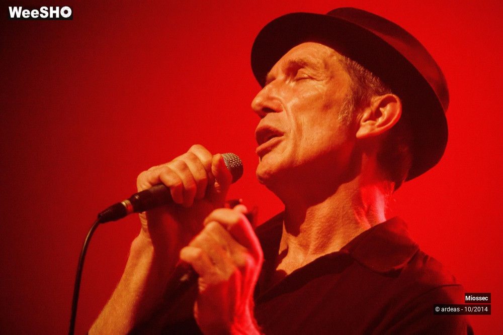 24/41 photos du spectacle Miossec