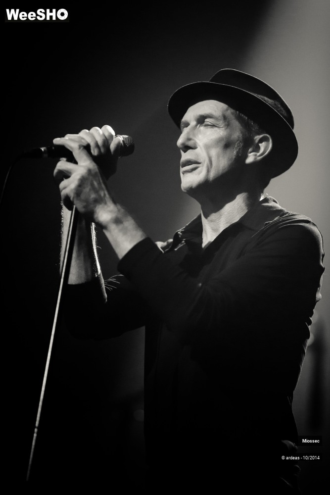 26/41 photos du spectacle Miossec