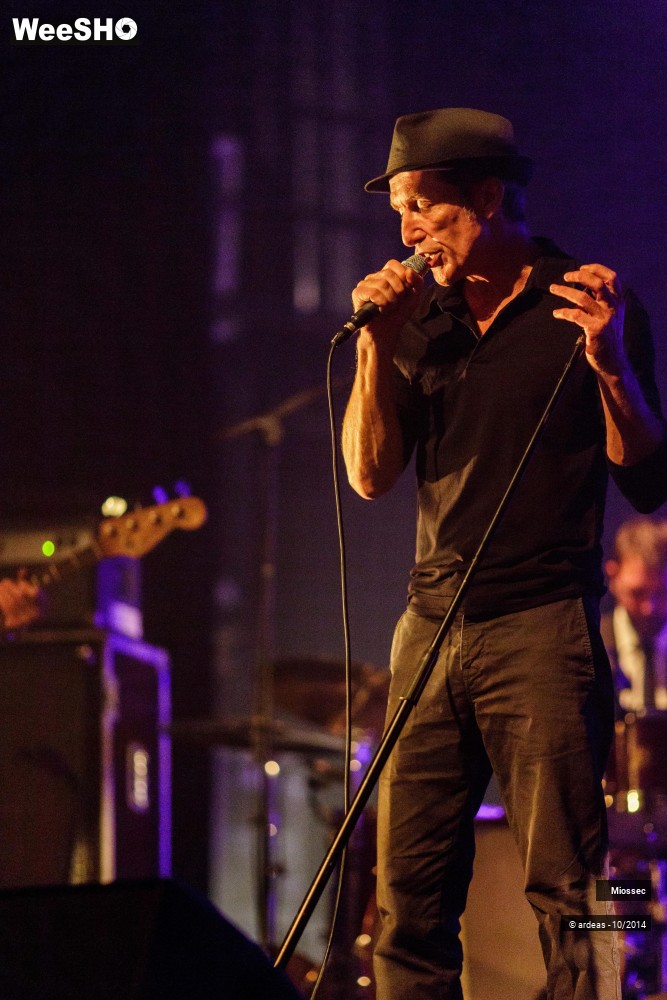 29/41 photos du spectacle Miossec