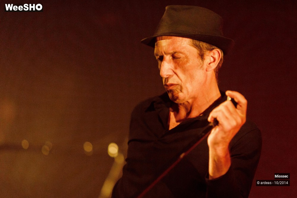 33/41 photos du spectacle Miossec