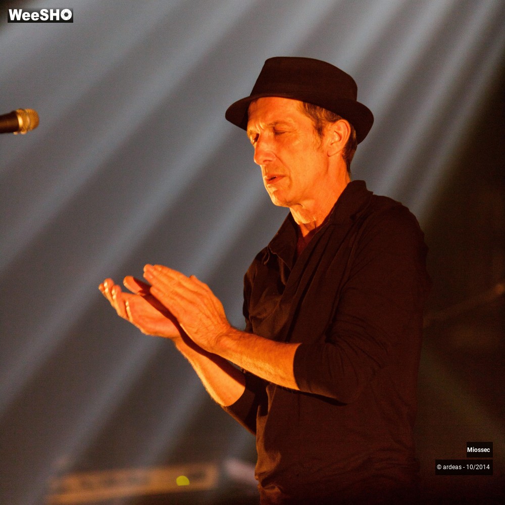 34/41 photos du spectacle Miossec