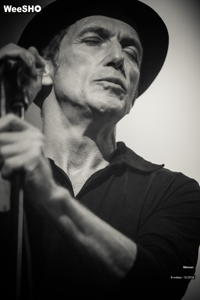 40/41 photos du spectacle Miossec