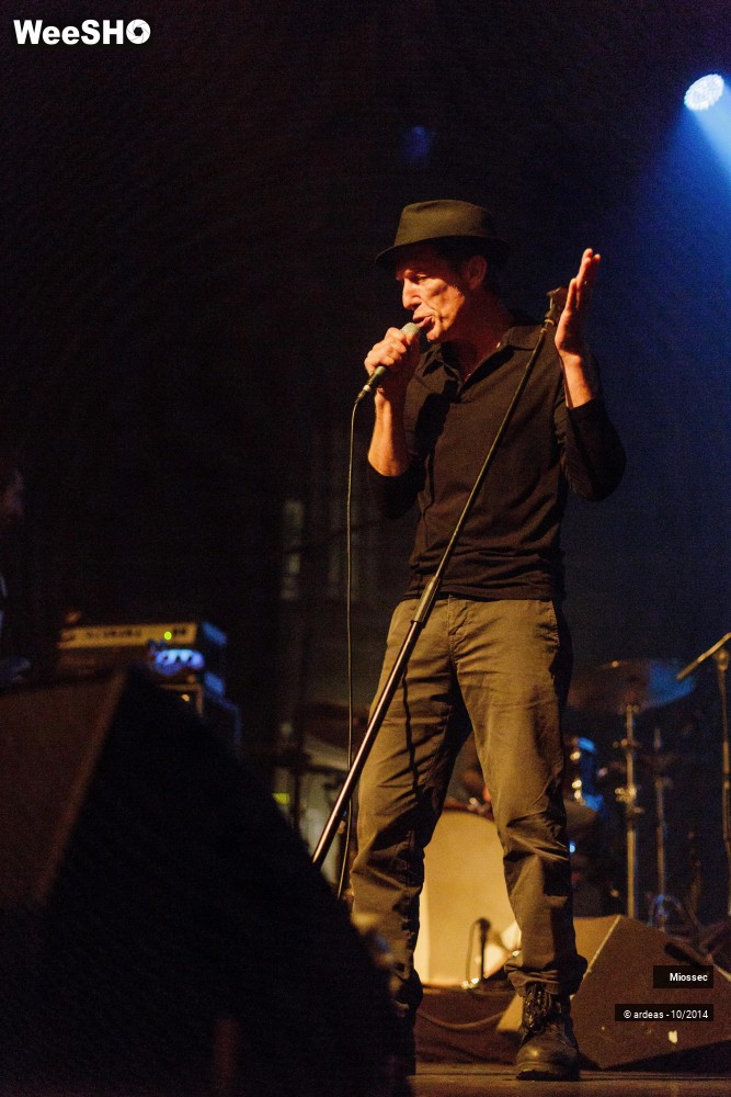 41/41 photos du spectacle Miossec