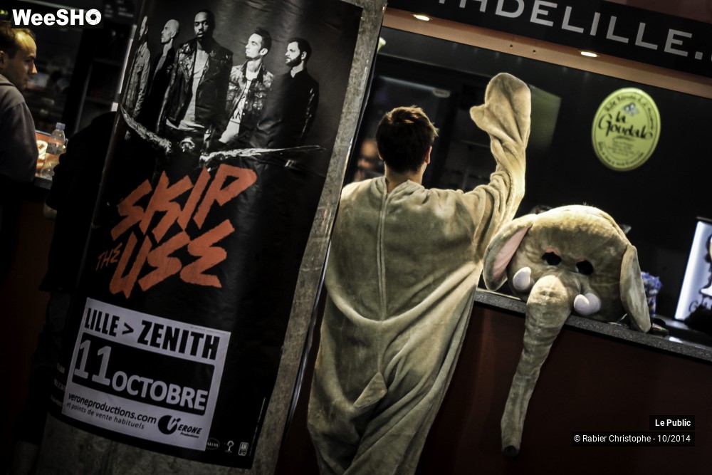 2/37 photos du spectacle Ambiance Skip The Use