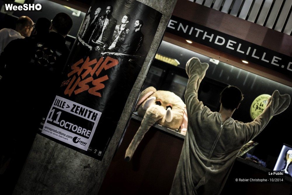 25/37 photos du spectacle Ambiance Skip The Use