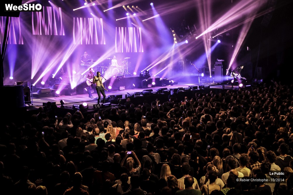 34/37 photos du spectacle Ambiance Skip The Use