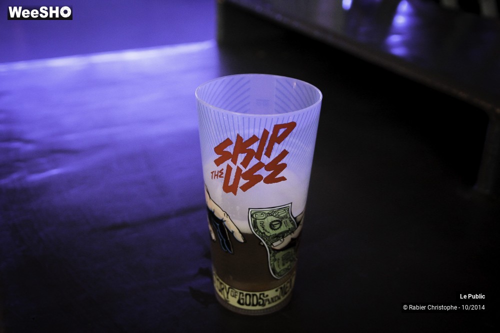 37/37 photos du spectacle Ambiance Skip The Use