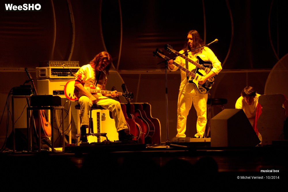 13/28 photos du spectacle Musical box