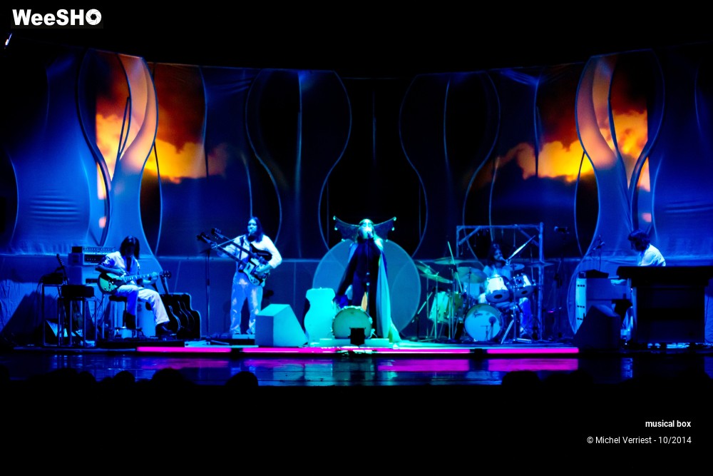 16/28 photos du spectacle Musical box