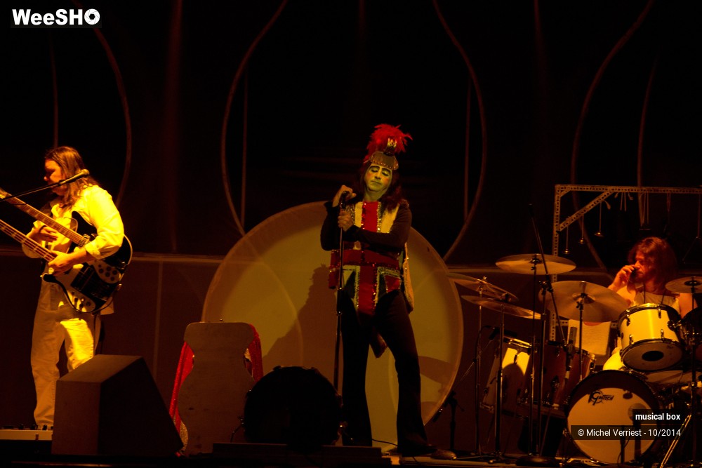 17/28 photos du spectacle Musical box