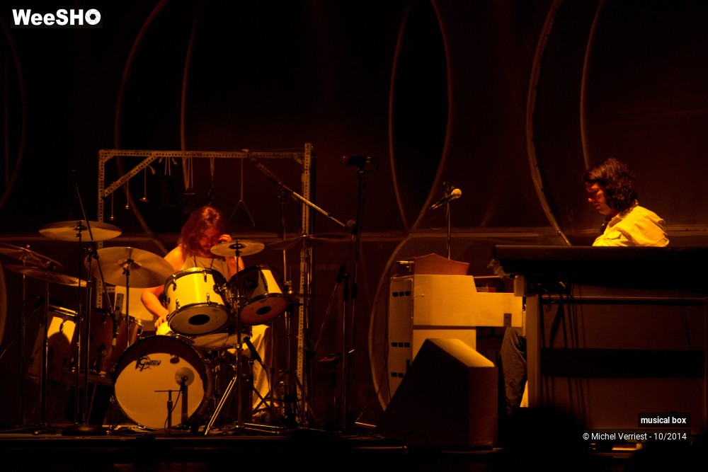 19/28 photos du spectacle Musical box