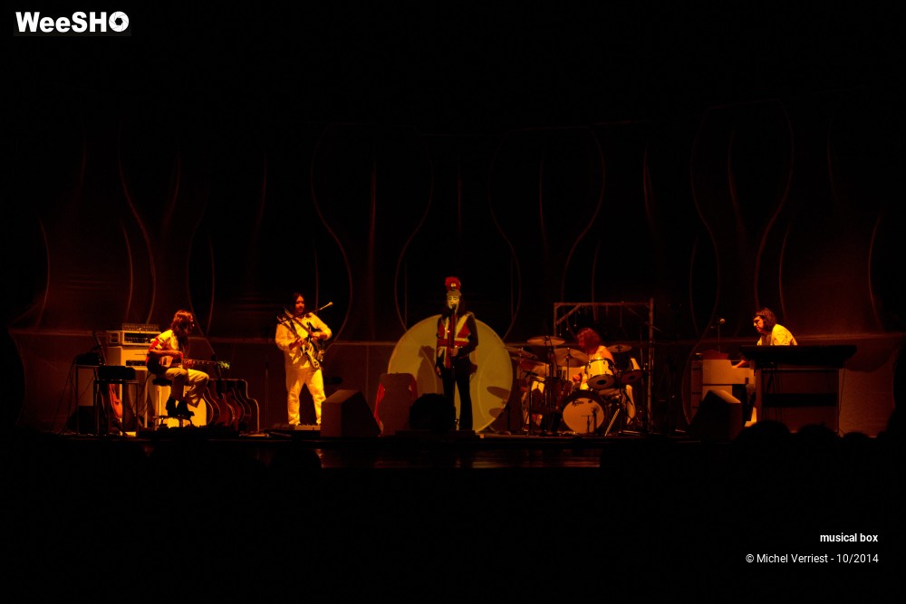 20/28 photos du spectacle Musical box