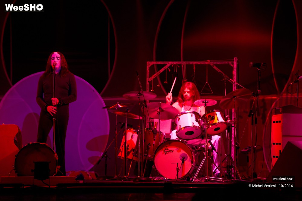 22/28 photos du spectacle Musical box