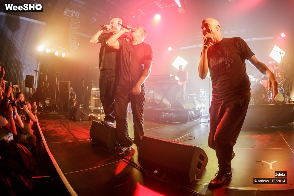 8/46 photos du spectacle Zebda