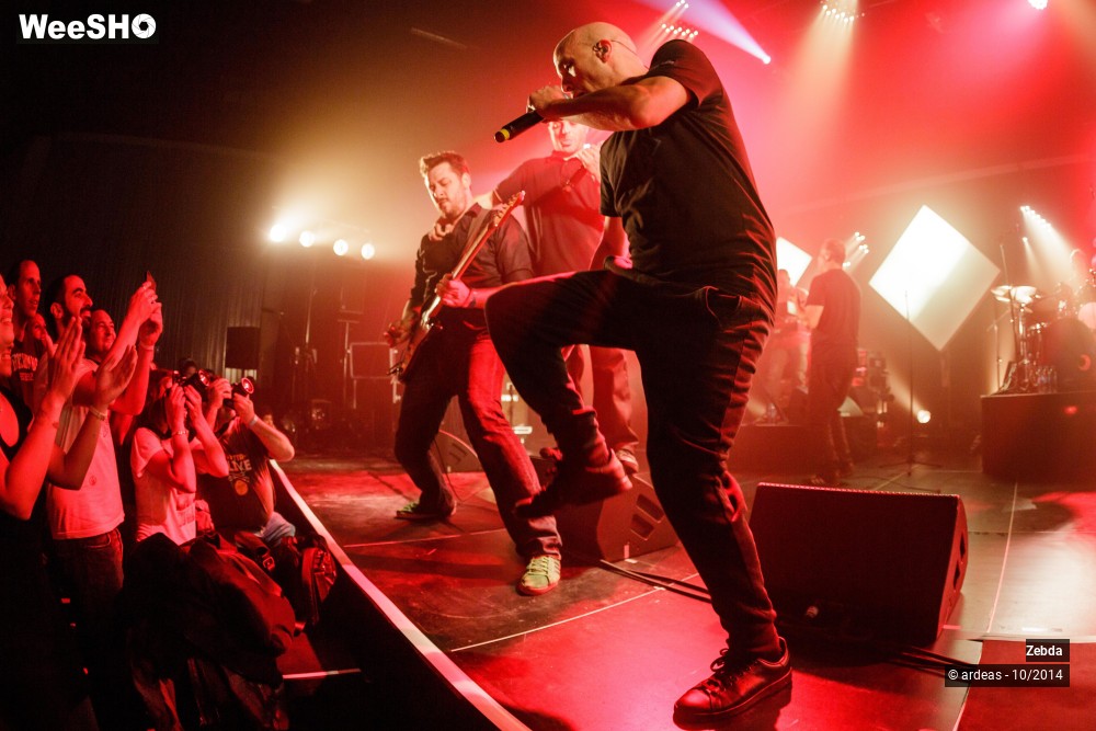 13/46 photos du spectacle Zebda