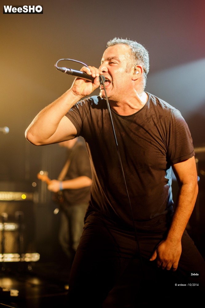 14/46 photos du spectacle Zebda