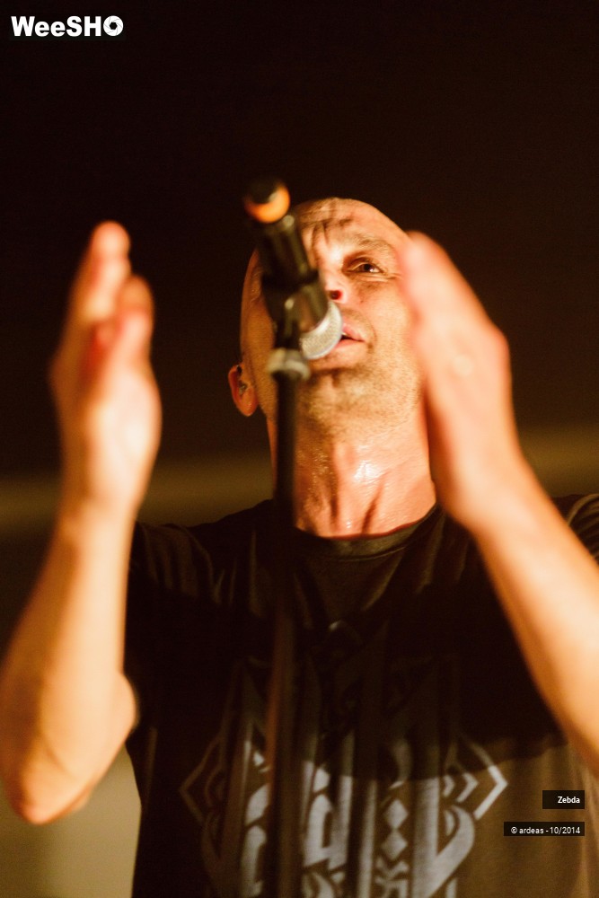 19/46 photos du spectacle Zebda