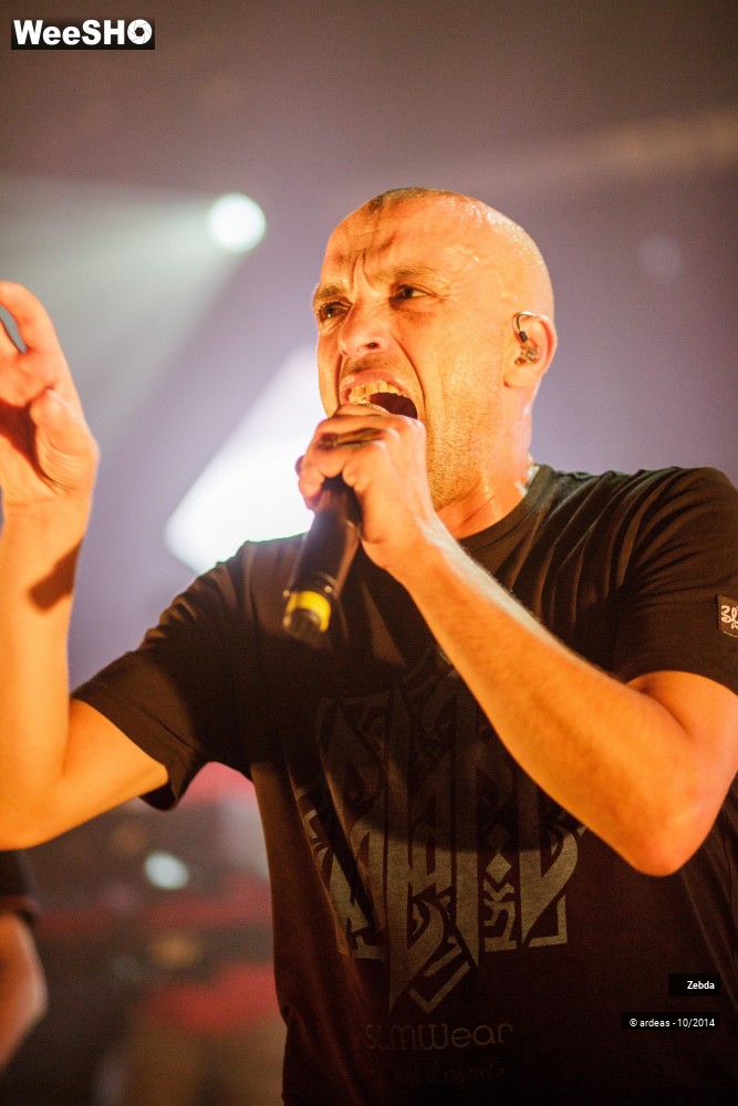 23/46 photos du spectacle Zebda