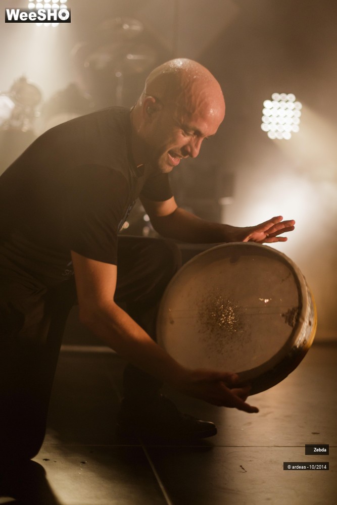 25/46 photos du spectacle Zebda