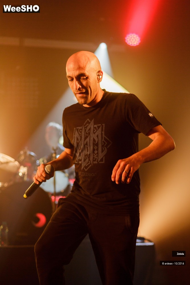 29/46 photos du spectacle Zebda