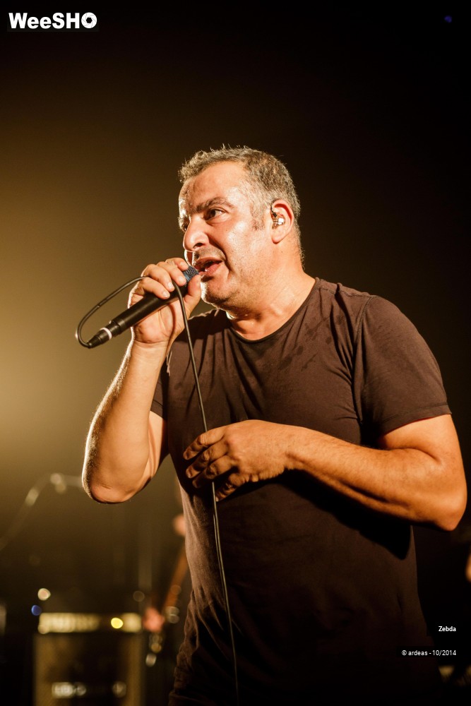 31/46 photos du spectacle Zebda