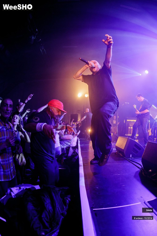 32/46 photos du spectacle Zebda