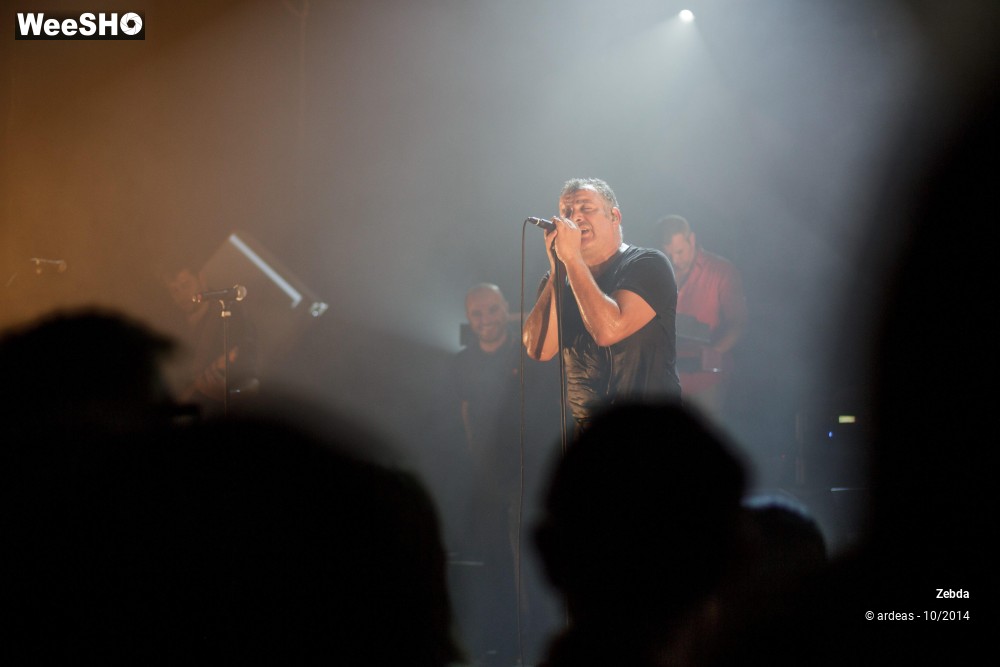 34/46 photos du spectacle Zebda