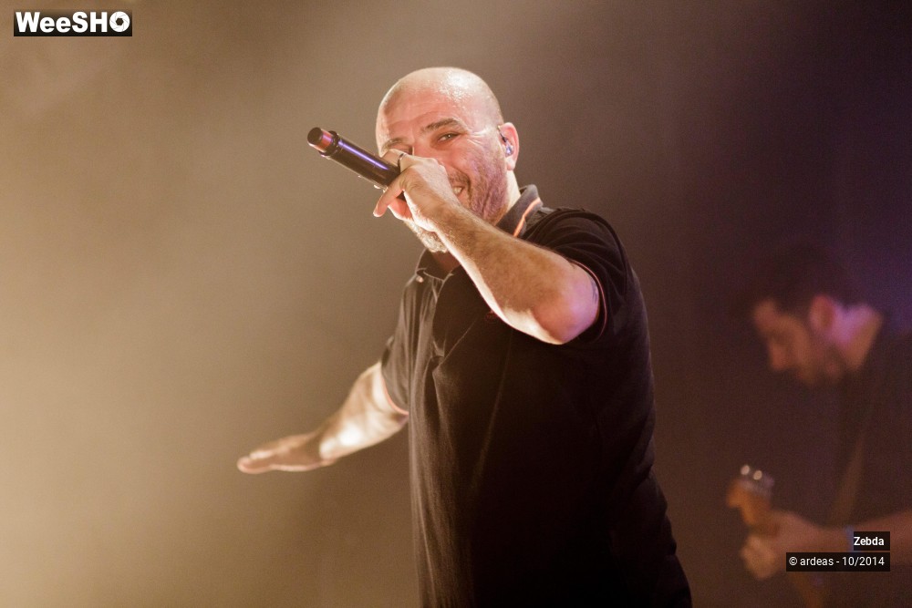 35/46 photos du spectacle Zebda