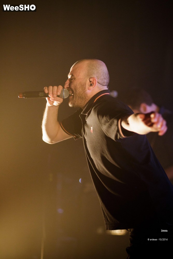 36/46 photos du spectacle Zebda