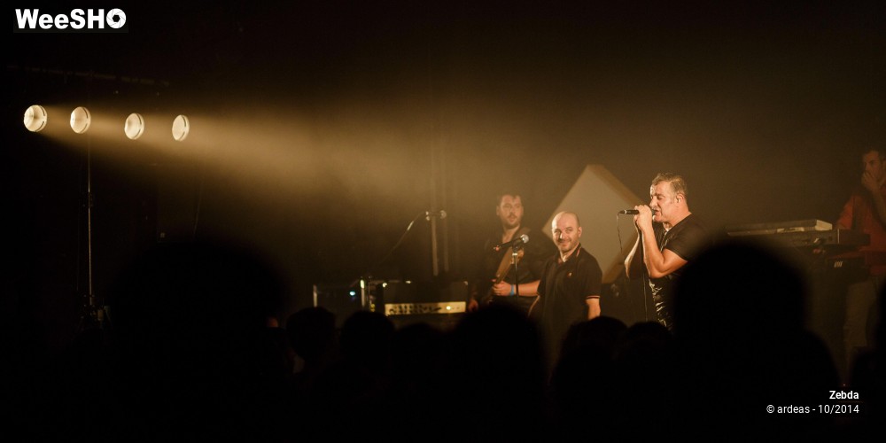 37/46 photos du spectacle Zebda