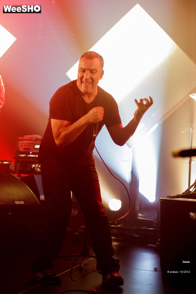 39/46 photos du spectacle Zebda