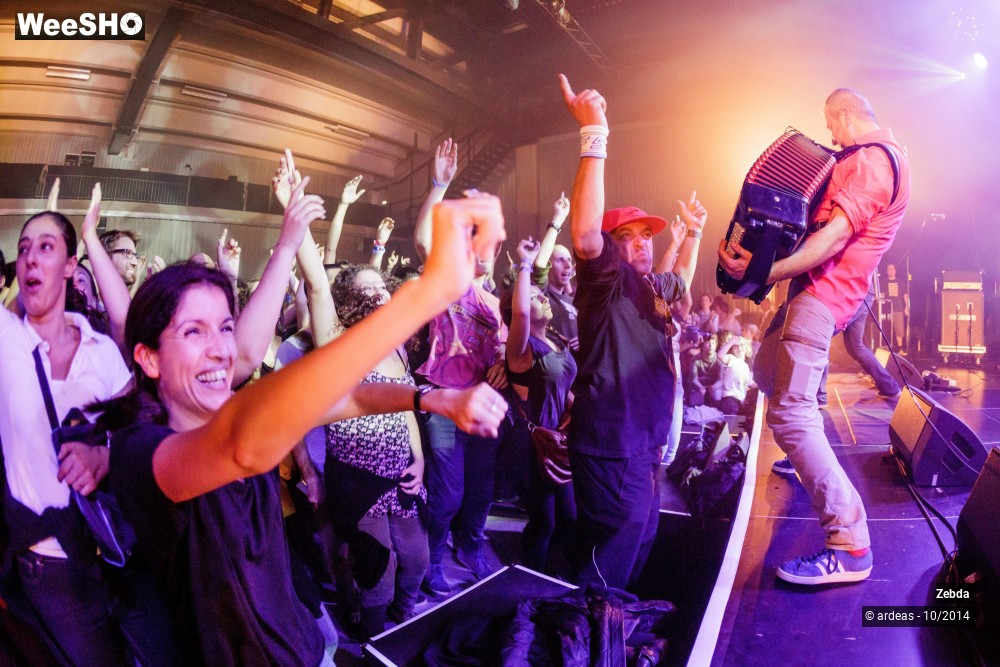 40/46 photos du spectacle Zebda