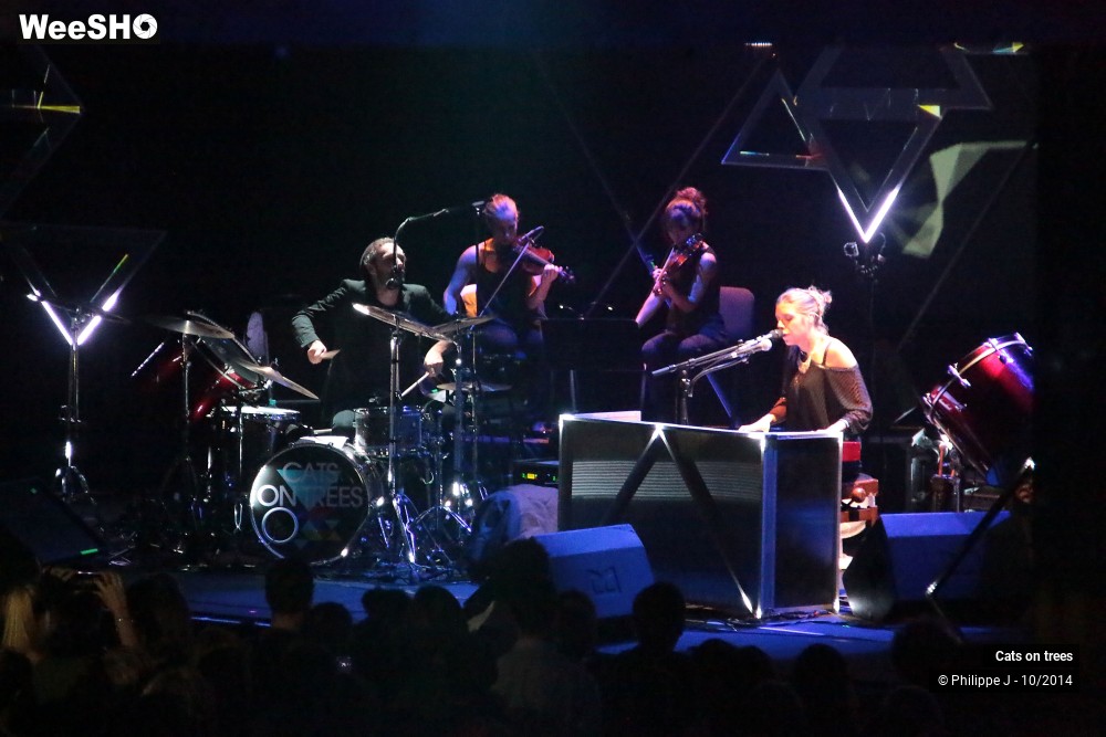 1/30 photos du spectacle Cats on trees