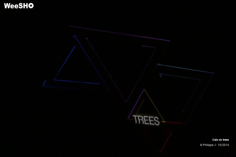 3/30 photos du spectacle Cats on trees