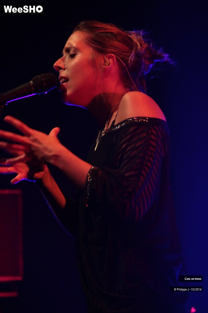 6/30 photos du spectacle Cats on trees