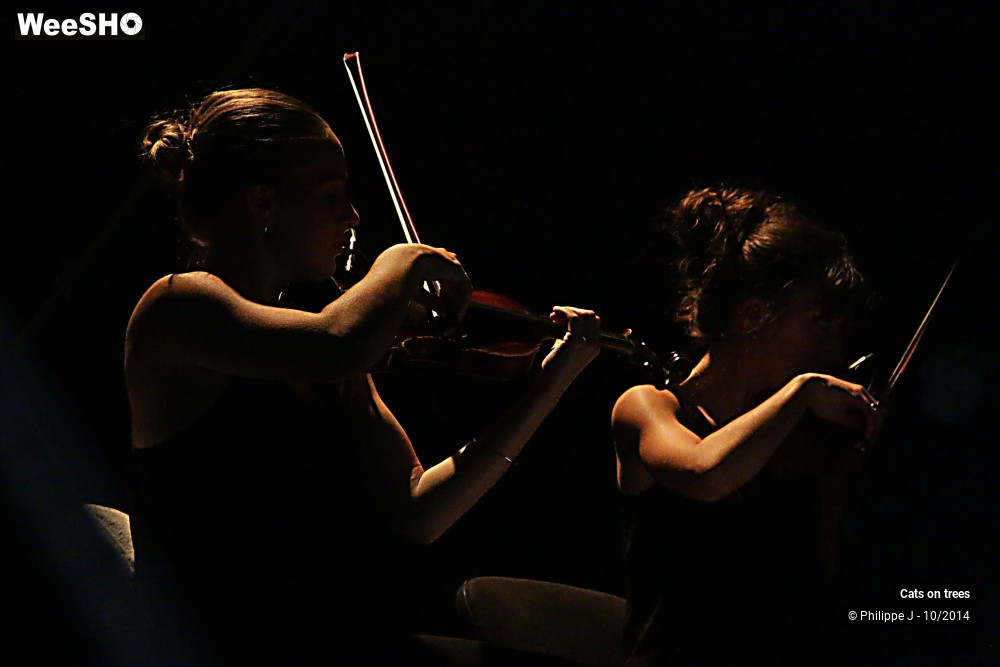 9/30 photos du spectacle Cats on trees