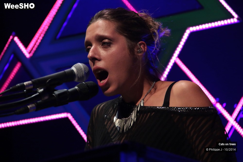 12/30 photos du spectacle Cats on trees