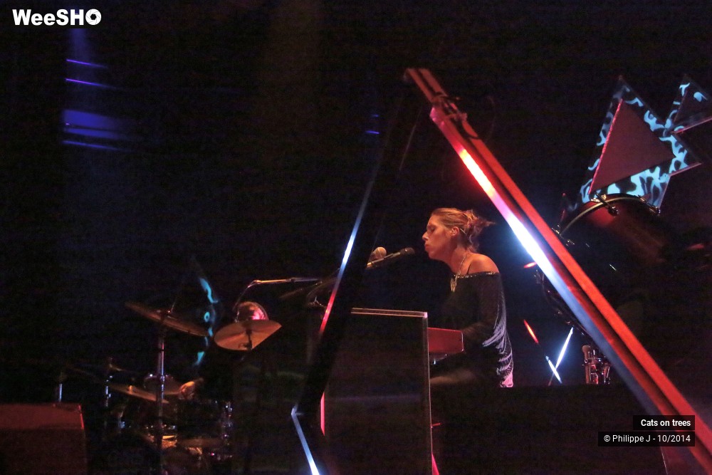 13/30 photos du spectacle Cats on trees