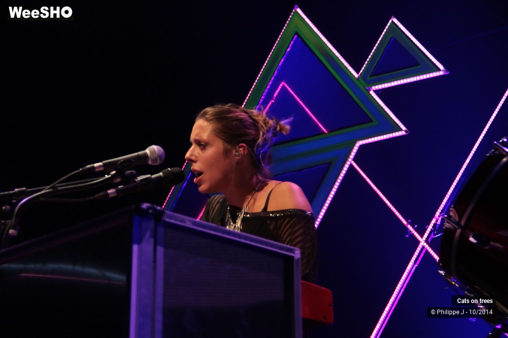 14/30 photos du spectacle Cats on trees