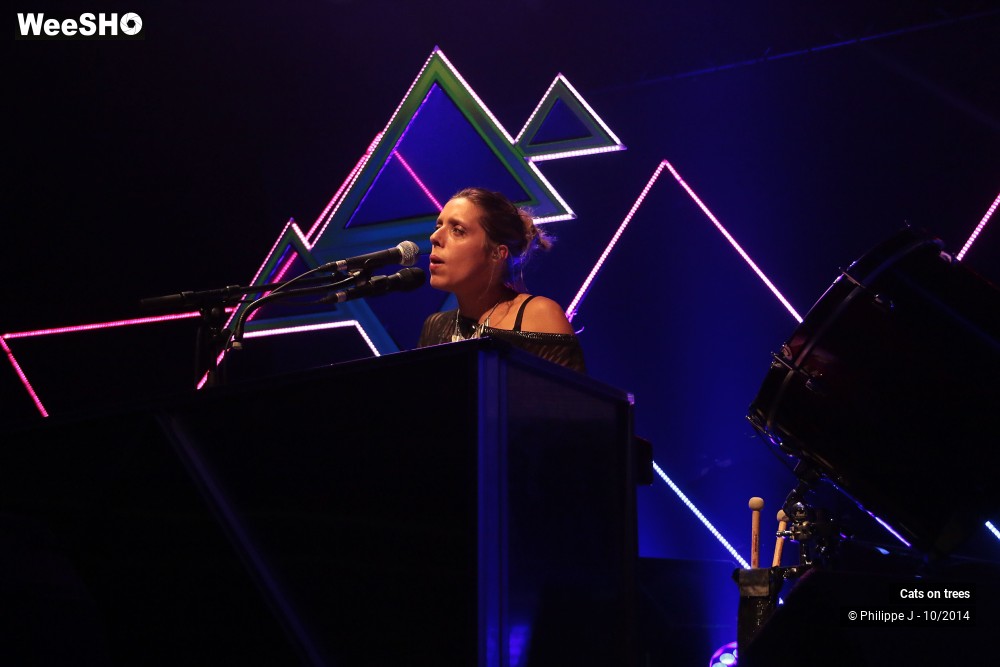 15/30 photos du spectacle Cats on trees