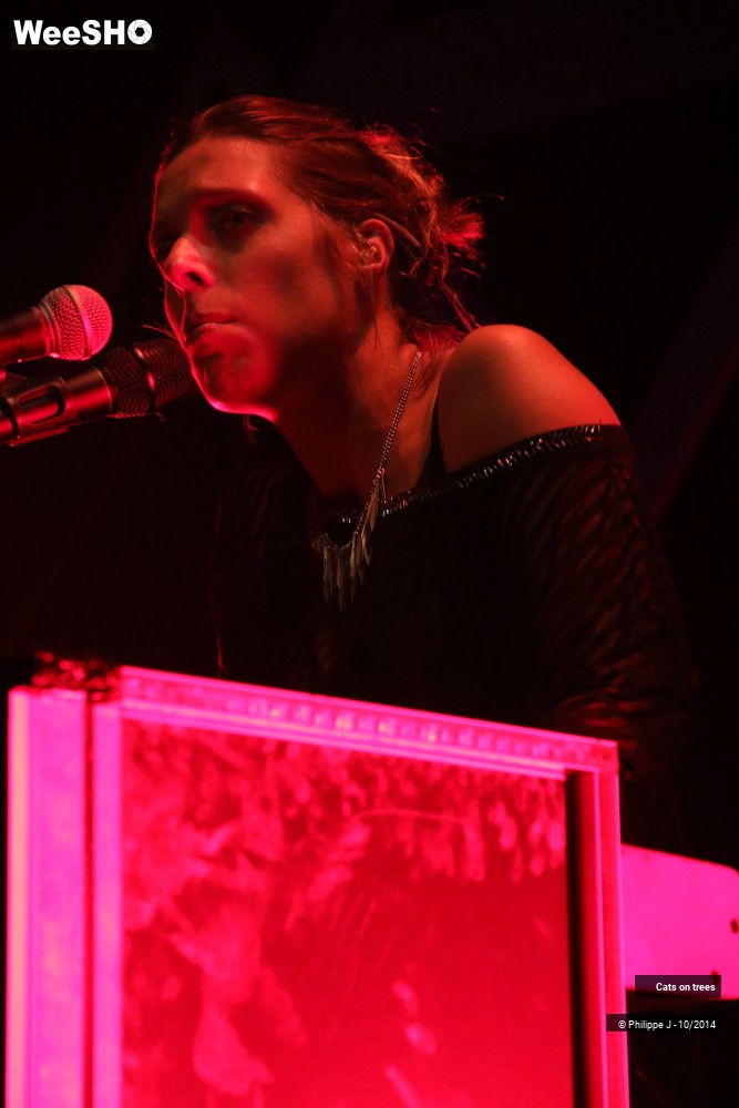 16/30 photos du spectacle Cats on trees