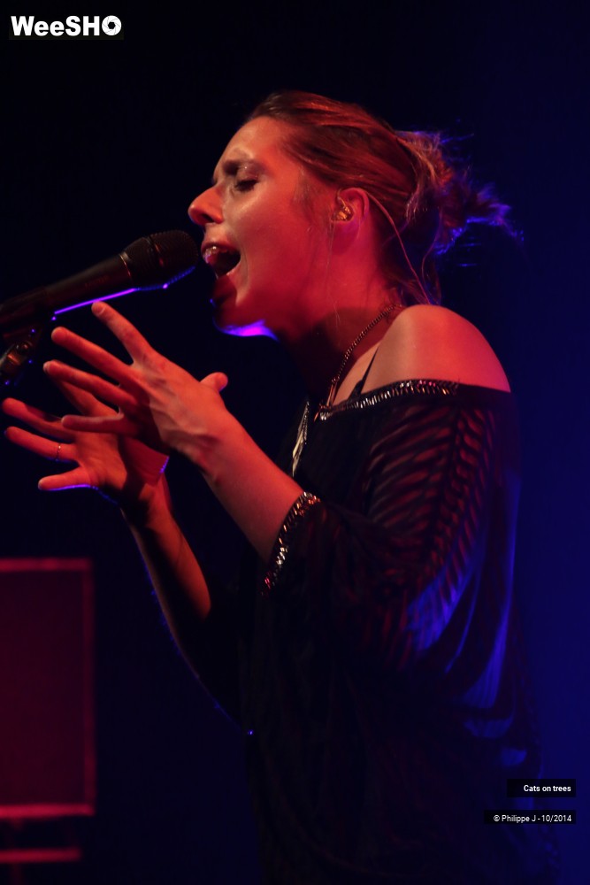 17/30 photos du spectacle Cats on trees