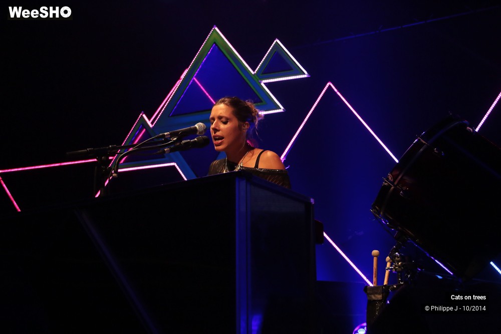 18/30 photos du spectacle Cats on trees