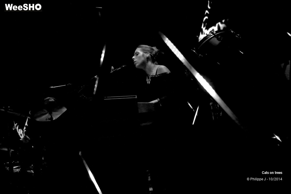 19/30 photos du spectacle Cats on trees