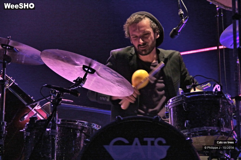 20/30 photos du spectacle Cats on trees