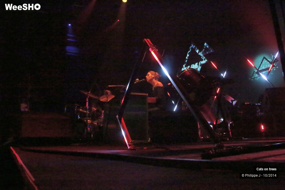 23/30 photos du spectacle Cats on trees