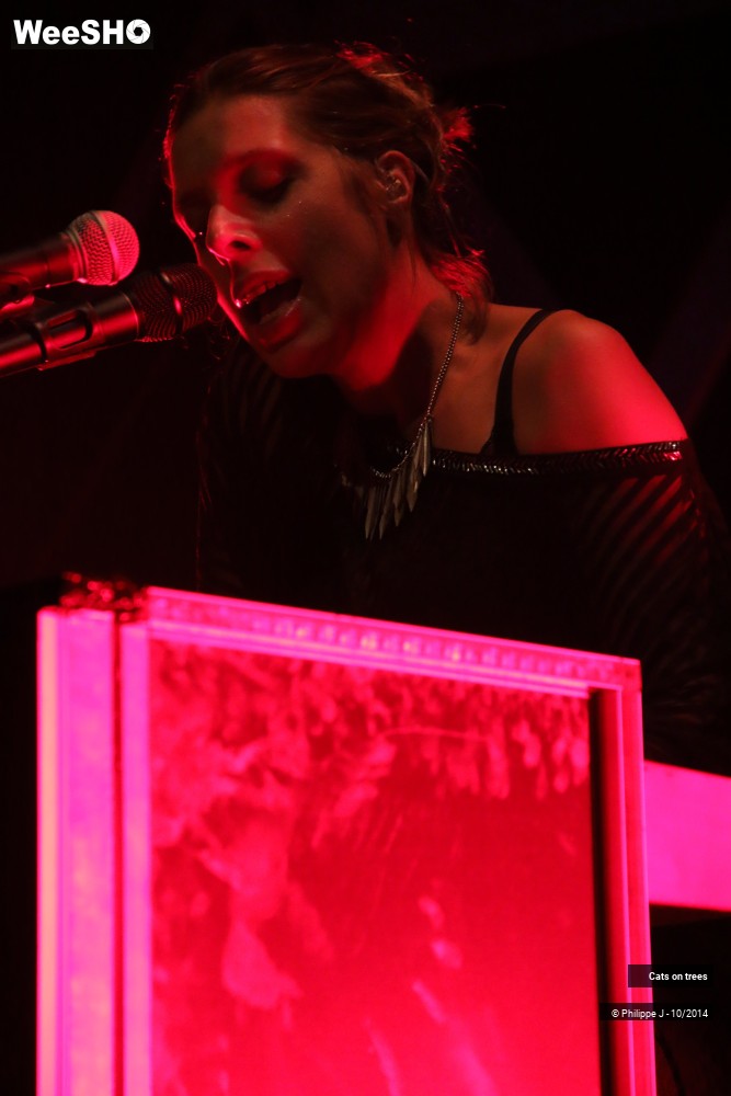 28/30 photos du spectacle Cats on trees