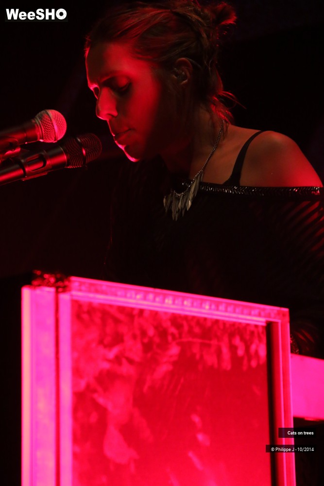 30/30 photos du spectacle Cats on trees