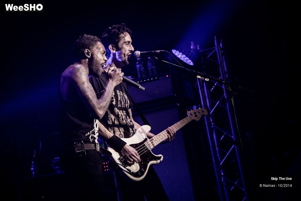 1/50 photos du spectacle Skip The Use