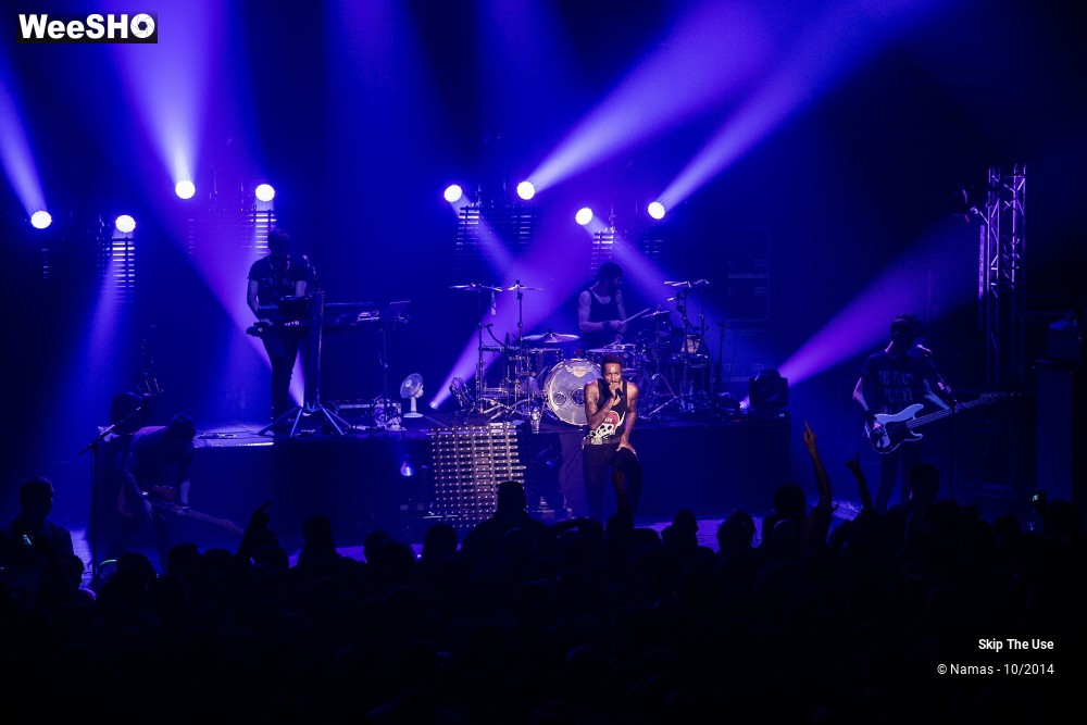 3/50 photos du spectacle Skip The Use